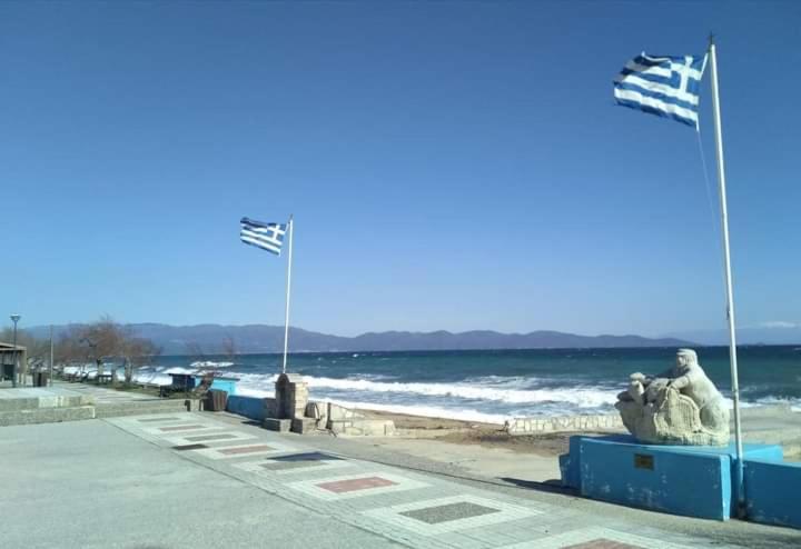 Xaroula Apartments Ierissos Exteriör bild